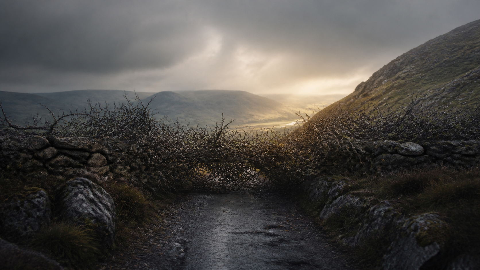 A road blocked by a thorn hedge in a somber landscape with warm light in the distance